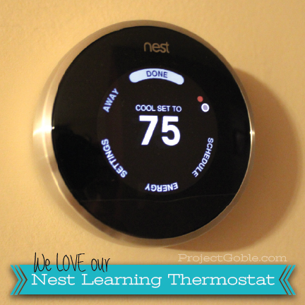 Project Goble: Nest Learning Thermostat