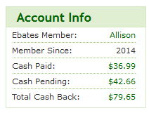 Account Info for Allison's Ebates